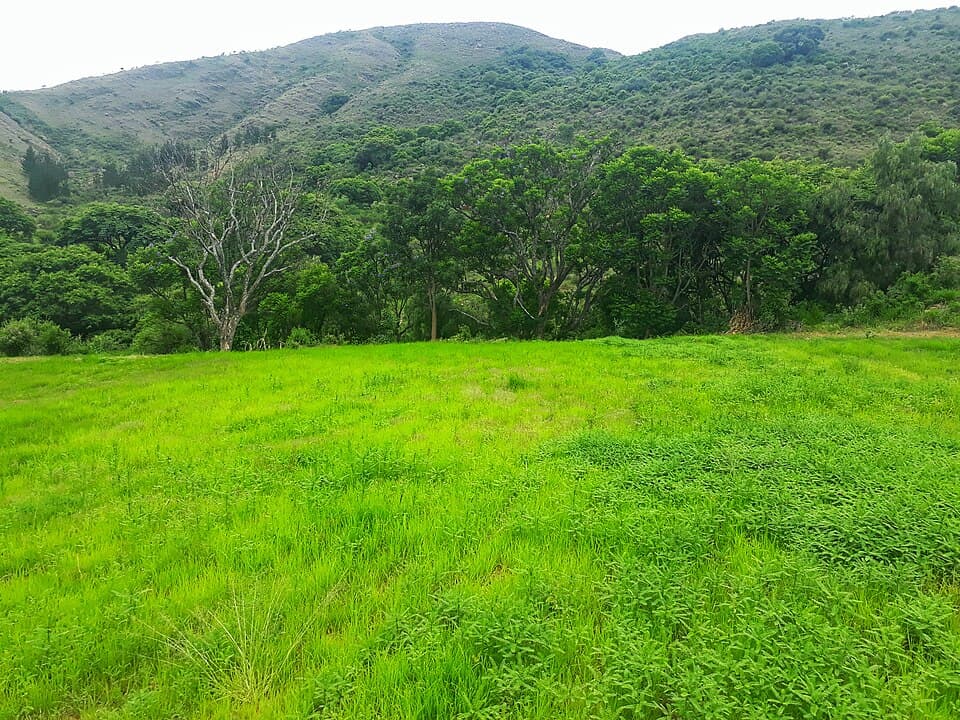 Paisaje de Tolomosa, Tarija
